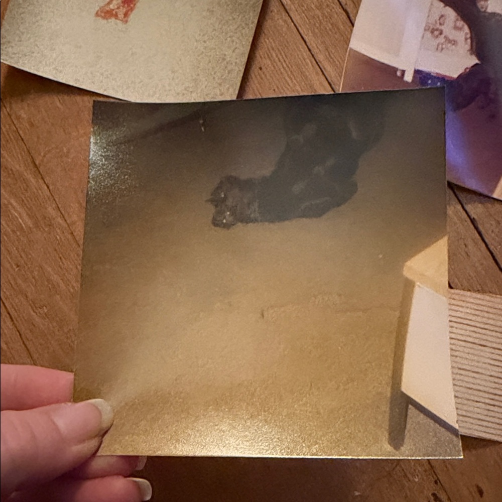 Vintage Photo Collection - Picture 3 of 11